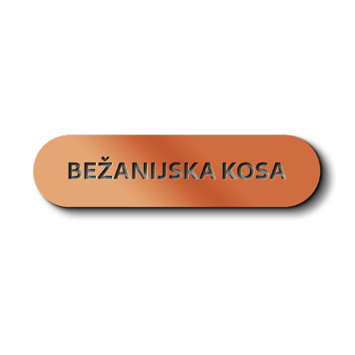Bežanijska kosa